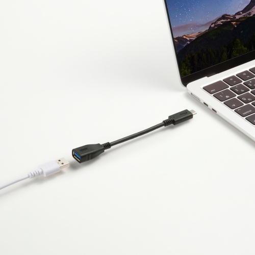 USB-Aケーブル付き機器をUSB-Cホストへ接続するメーカー例。