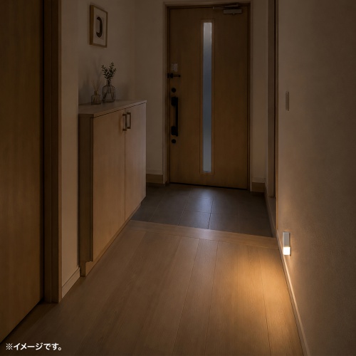 玄関付近のメーカー設置イメージ。